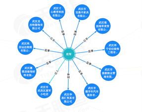 外賣(mài)小哥身陷網(wǎng)絡(luò)信息技術(shù)漩渦 莫名任11家公司監(jiān)事，癱瘓母親低保被取消