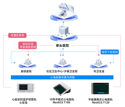 分秒必爭的生命護衛——樂普心安寶如何精準預警急性心肌梗死