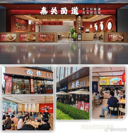 秦關(guān)面道攜手面巷 雙品牌戰(zhàn)略升級背后的供應(yīng)鏈革新——惠優(yōu)品食品工廠隆重揭幕